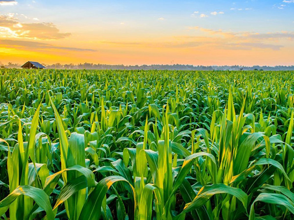 Agriculture & Farming HESS