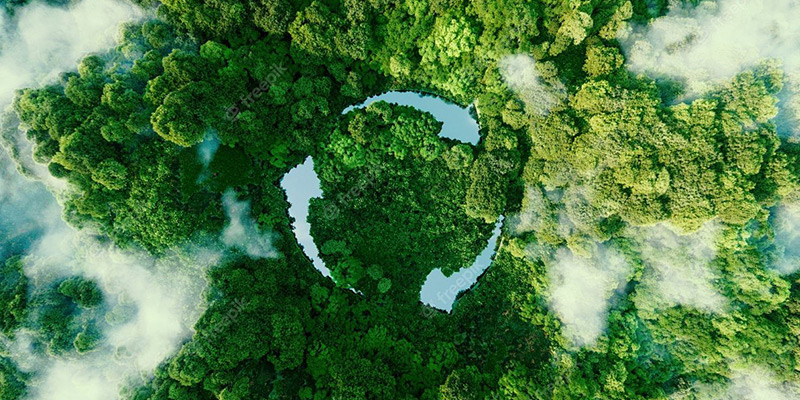 Expand into the Green Energy Market