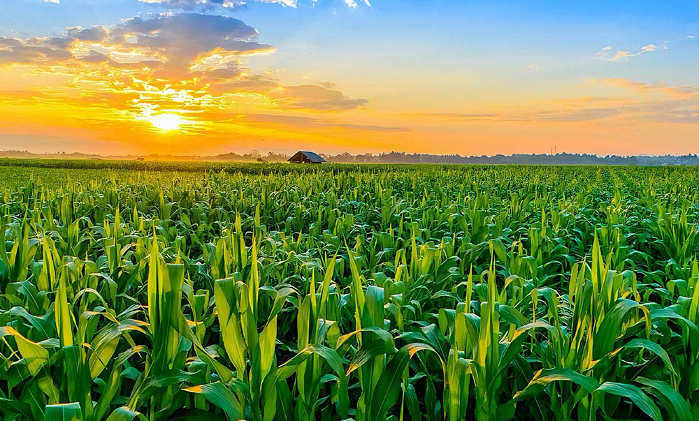 Agriculture & Farming HESS